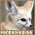 Fennec Foxes