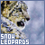 Snow Leopard