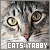 Tabby Cats