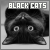 Black Cats