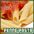 Penne