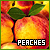 Peaches