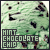 Mint Chocolate Chip Ice Cream