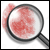 Crime Fiction